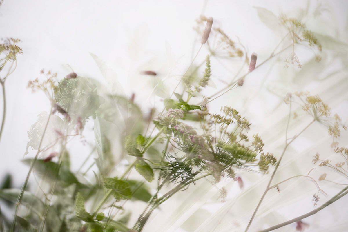 〈アロマチャート診断  -心と体に寄り添う香り- 〉