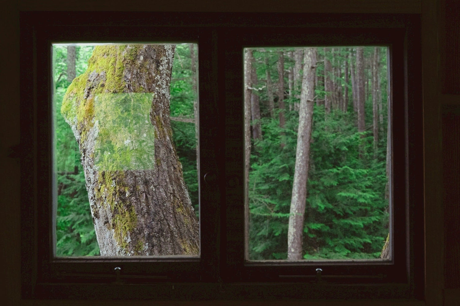 〈OSAJI Journal〉SPECIAL COLUMN