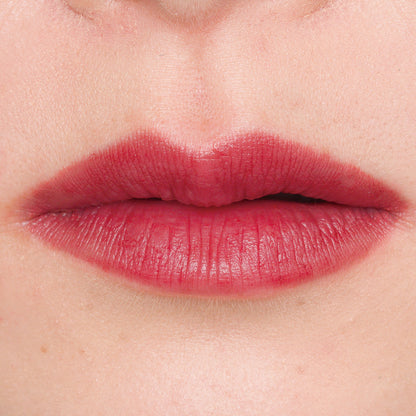 ニュアンス  リップボーダーライナー【REDUCE ITEM】