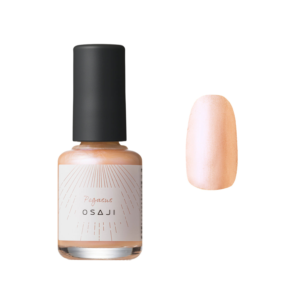 選べるネイルカラー＆ネイルケアギフトセット（ネイル・フィンガーティップスセラム）