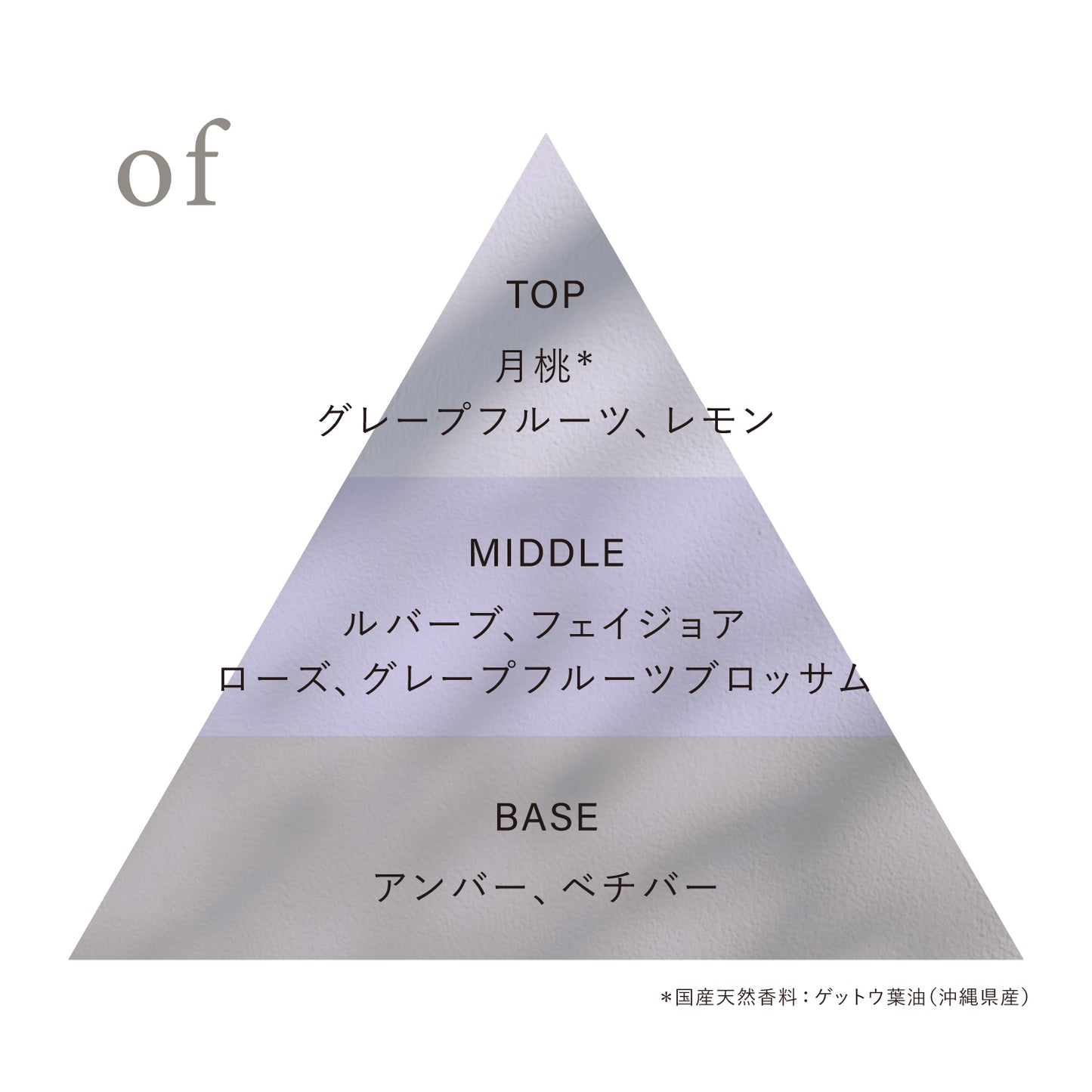 オードトワレ preposition(ディスカバリーセット)