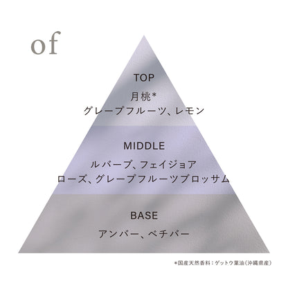 オードトワレ preposition(ディスカバリーセット)