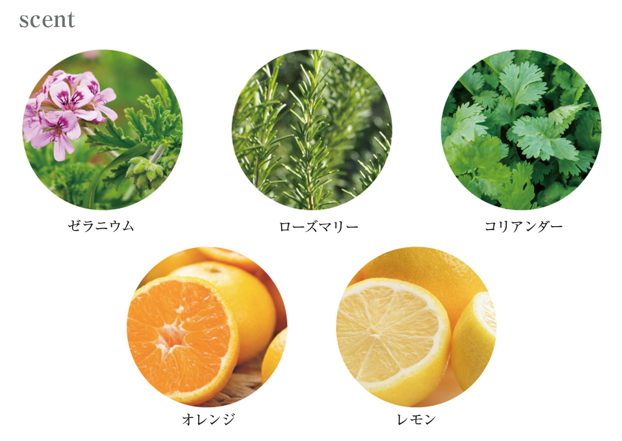 ゼラニウム、ローズマリー、コリアンダー、オレンジ、レモン