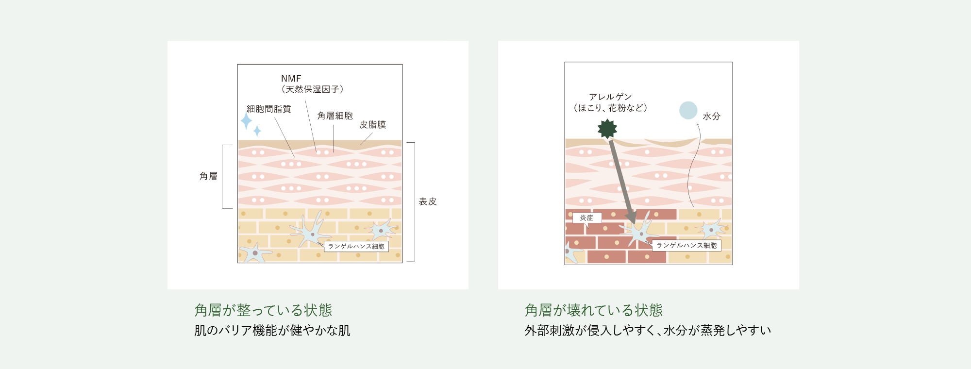 OSAJIのディフェンスシリーズで毎日を快適に。