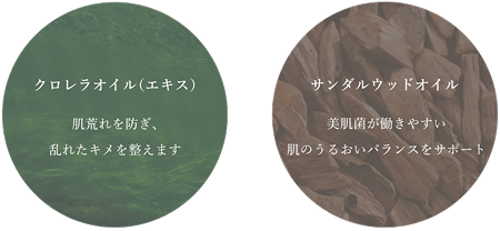 キー成分