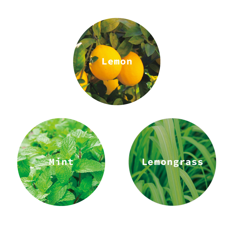 OSAJI〈オサジ〉 | 夏の香り Ryoシリーズ【数量限定】